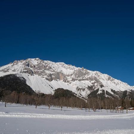 Adlernest Daire Ramsau am Dachstein Dış mekan fotoğraf