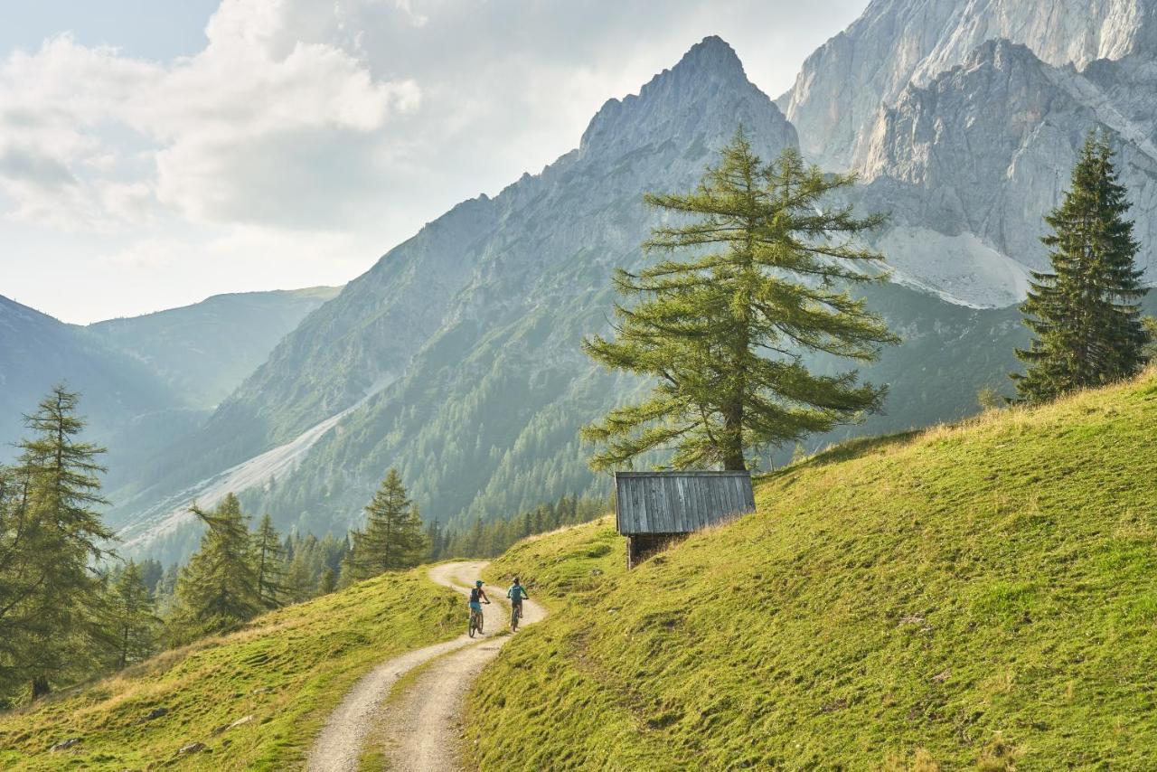 Adlernest Daire Ramsau am Dachstein Dış mekan fotoğraf
