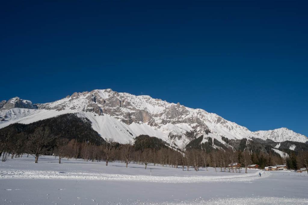 Adlernest Daire Ramsau am Dachstein Dış mekan fotoğraf